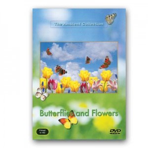 DVD Schmetterlinge und Blumen