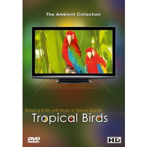 DVD - Tropische Vögel